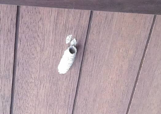 ドロバチの巣駆除軒下